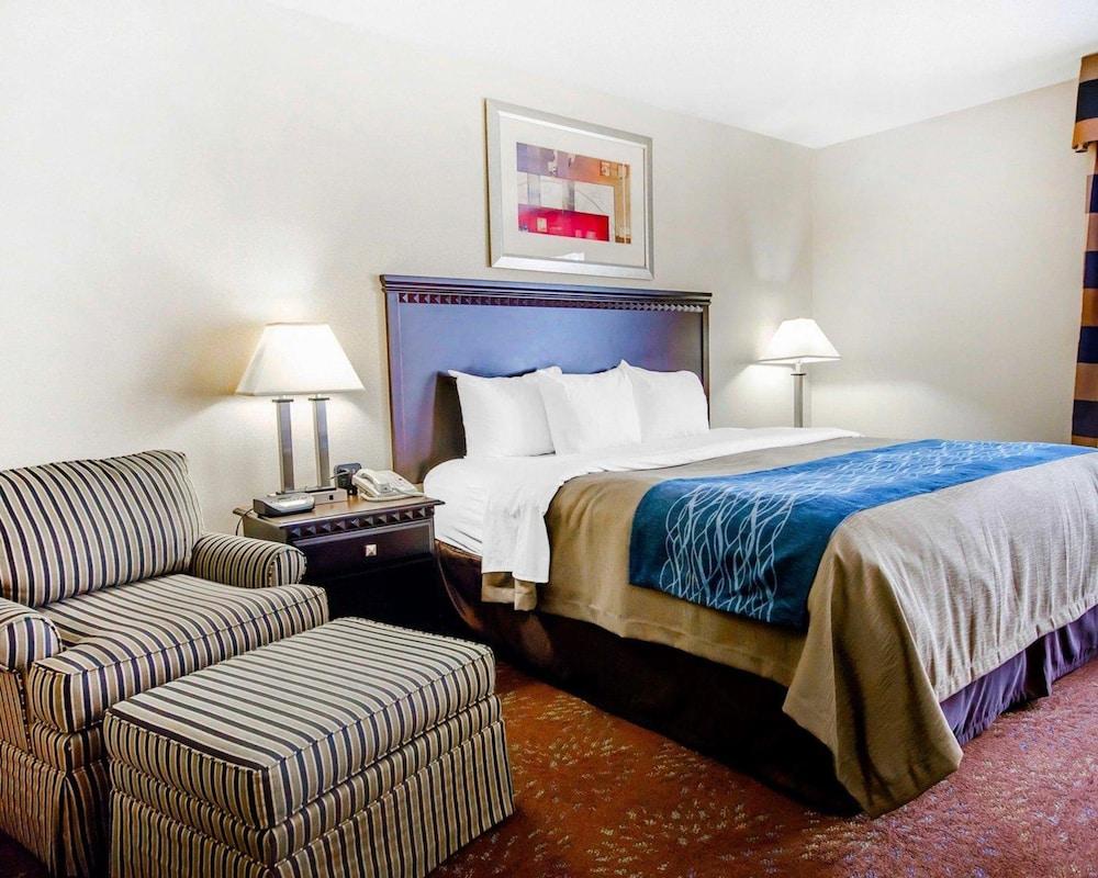 Comfort & Hotel