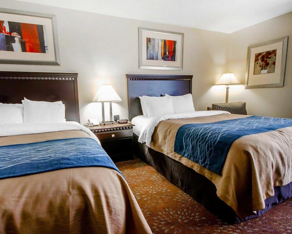Hotel Comfort & 3*